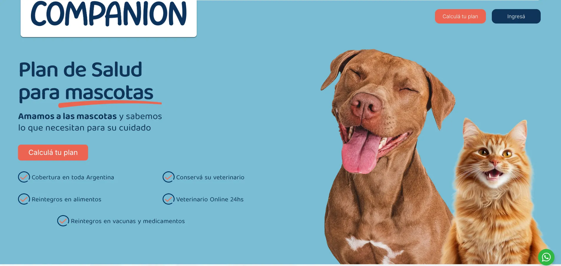 Imagen del caso Companion